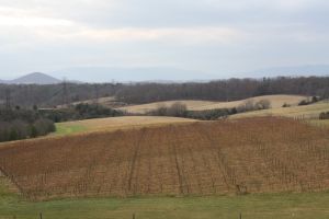A winter view into the vineyard and the Blue Ridge beyond from Barren Ridge's deck