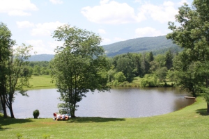 The pond provides a nice backdrop to the vineyard, and it is a beautiful sight to take in from the wrap around porch.