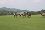 Roseland Polo is a great way to spend a Sunday afternoon.