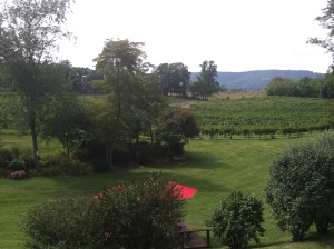 The view from the deck of North Mountain Vineyards