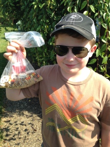 Billy posing with his portion of our 'marble yard mix'!