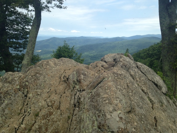 The View from Pinnacles Overlook, just north of Skyland Resort.  