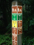 There are a lot of 'spur' trails from the main trail in First Landing State park.  We were so glad for our 'detour'!
