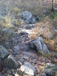 The rocky trail!