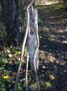 I love the spirit of the AT, and the community it creates.  Here are 'hiking sticks' passed from one hiker on to another.