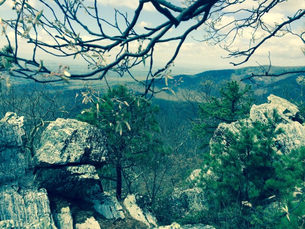 Photo credits:  Billy!  The view from the other side of Chimney Rocks.