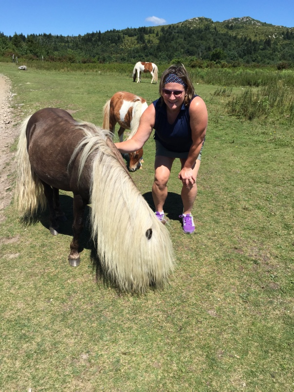 I loved all the ponies at Grayson highland, but this guy might have been my favorite! We dubbed him Hairy!